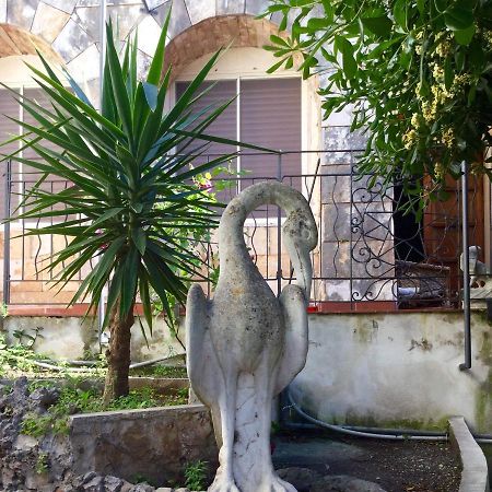 Villa Merina Βιέστε Εξωτερικό φωτογραφία